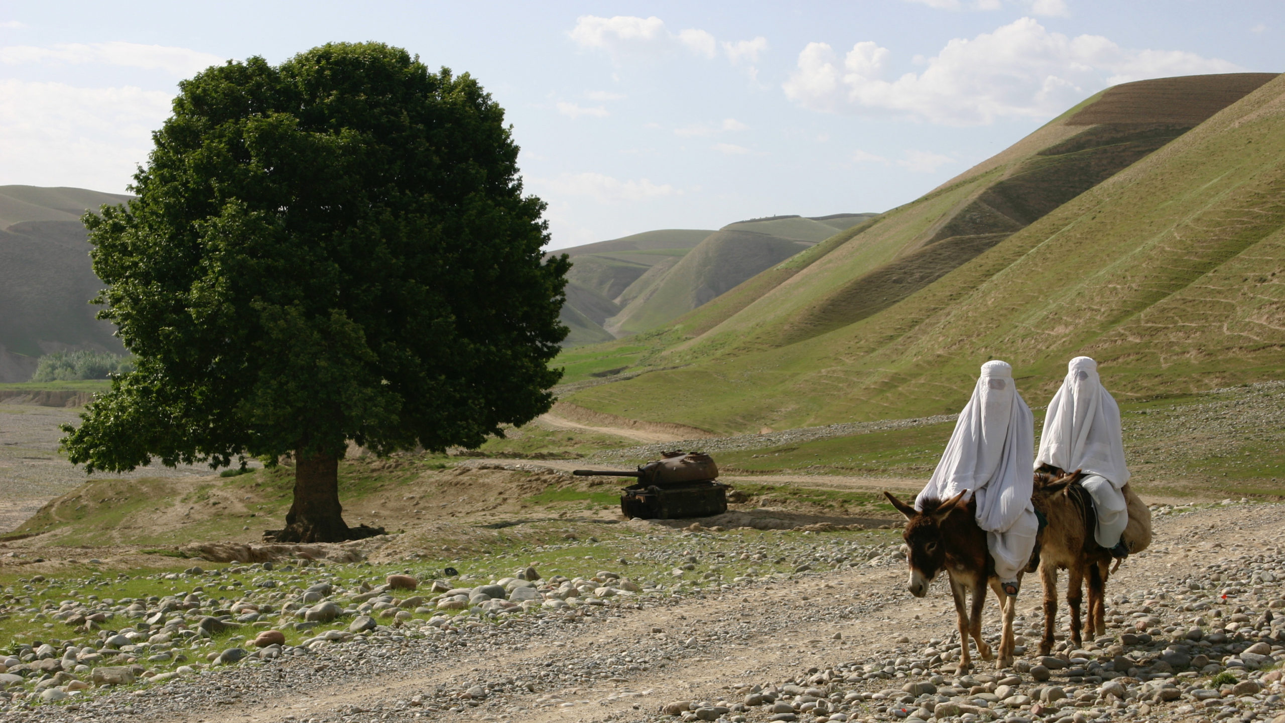 Afghan Connection