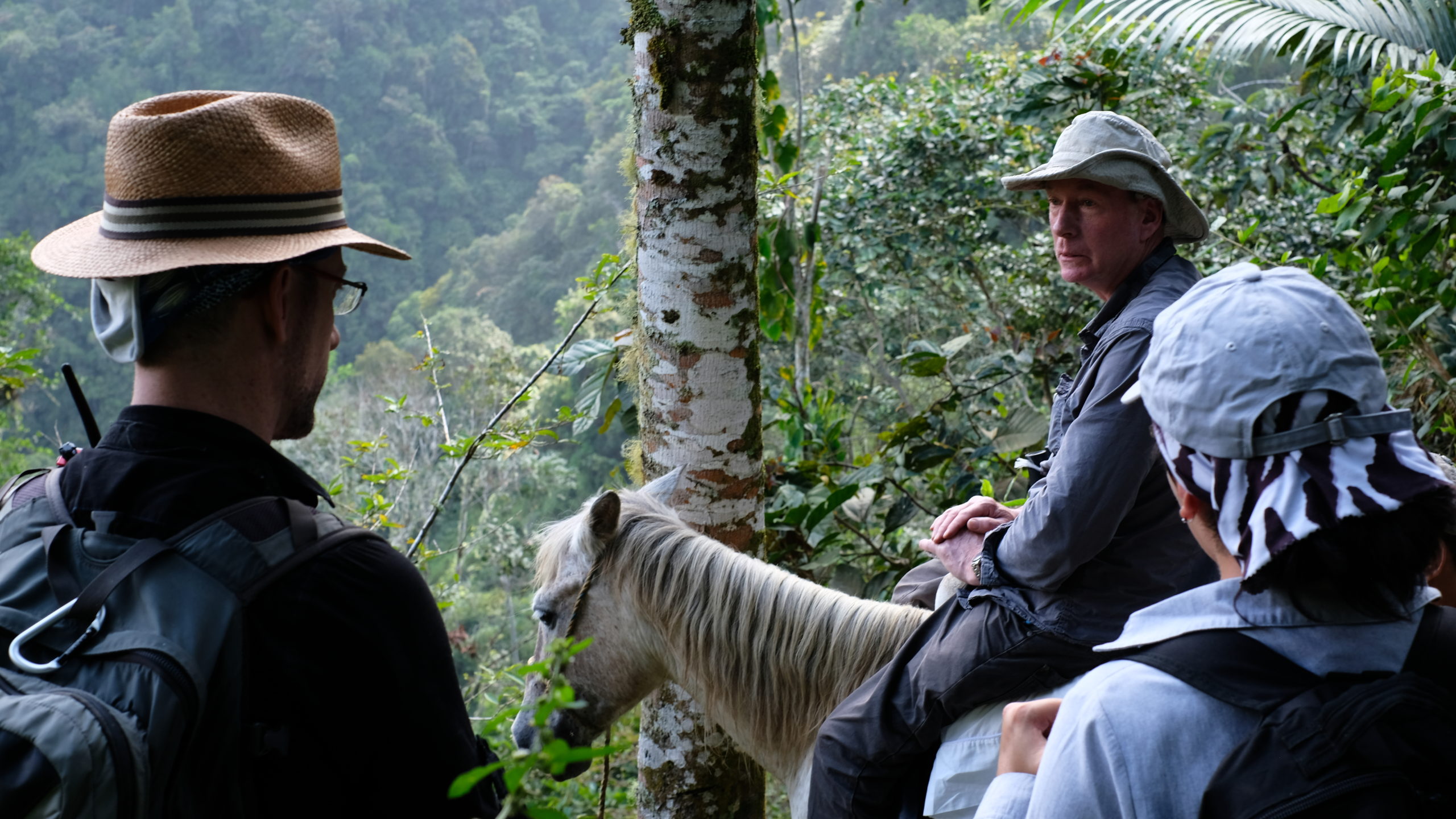 COLOMBIA: SAVING EDEN